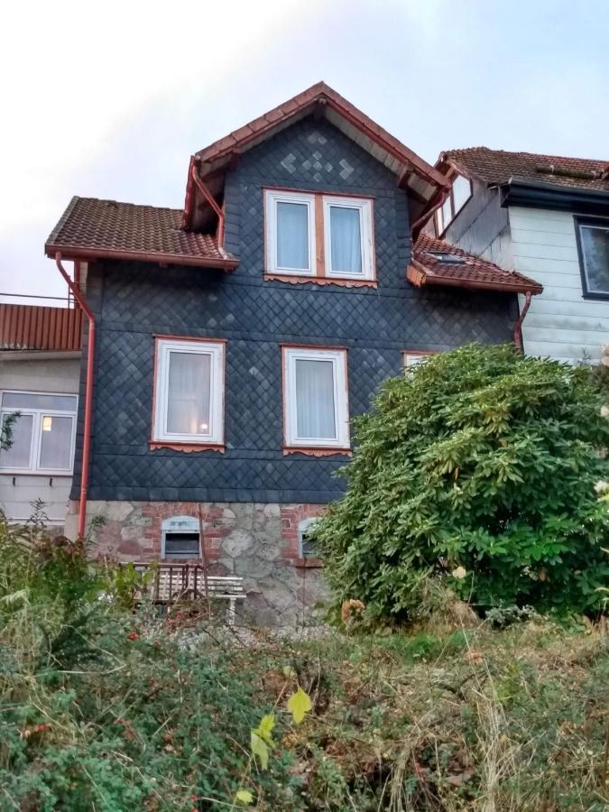 Vakantiehuis Julia Villa Bad Sachsa Exterior photo